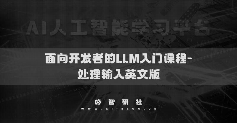 面向开发者的LLM入门课程-处理输入英文版