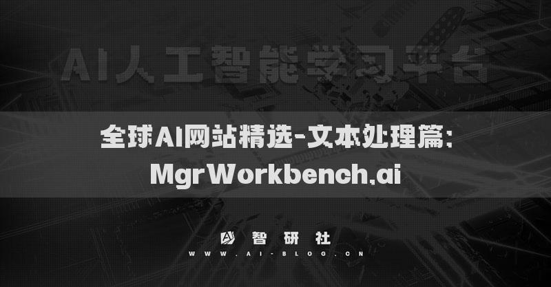 全球AI网站精选-文本处理篇：MgrWorkbench.ai​