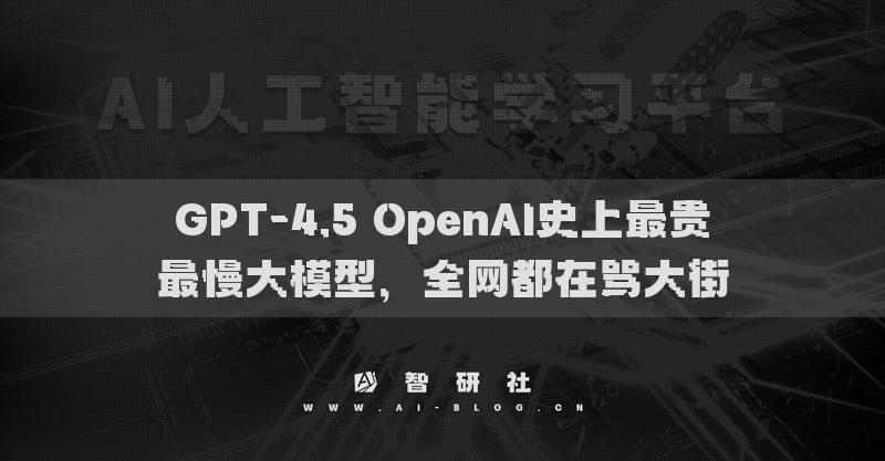 GPT-4.5 OpenAI史上最贵最慢大模型，全网都在骂大街