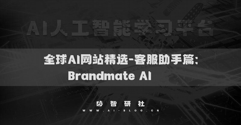 全球AI网站精选-客服助手篇：Brandmate AI​​​​
