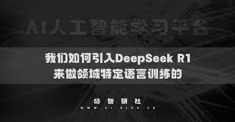 我们如何引入DeepSeek R1来做领域特定语言训练的