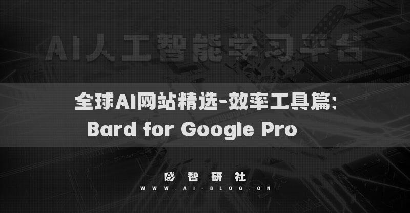 全球AI网站精选-效率工具篇：Bard for Google Pro​​​