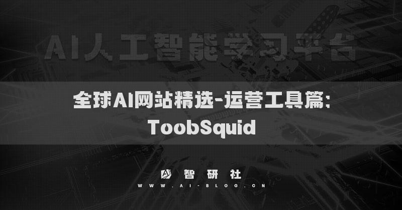 全球AI网站精选-运营工具篇：ToobSquid