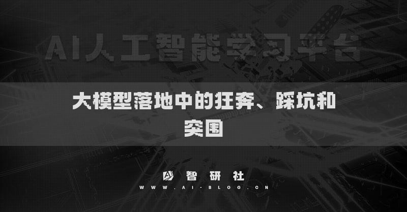 大模型落地中的狂奔、踩坑和突围