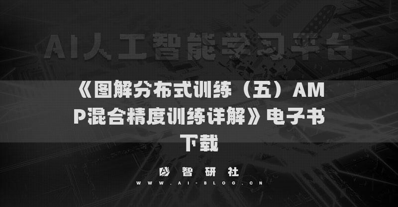 《图解分布式训练（五）AMP混合精度训练详解》电子书下载
