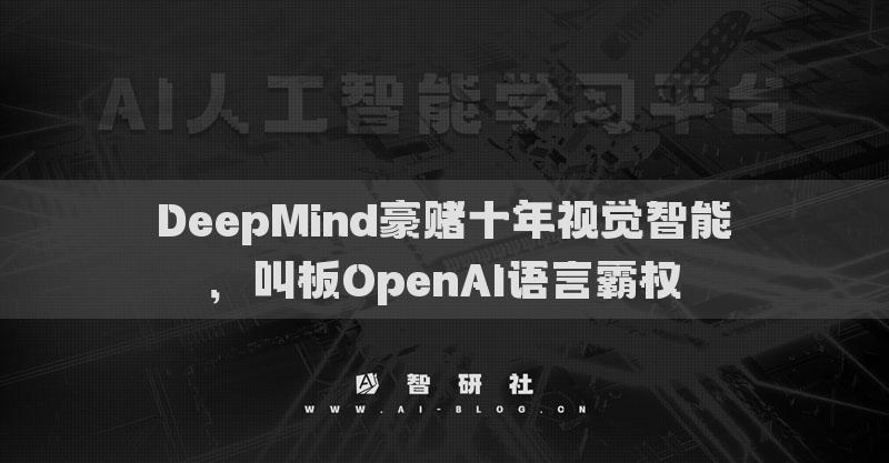 DeepMind豪赌十年视觉智能，叫板OpenAI语言霸权