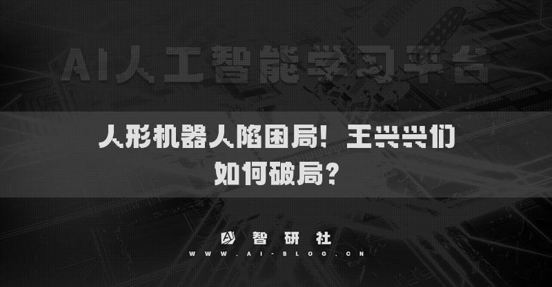 人形机器人陷困局！王兴兴们如何破局？