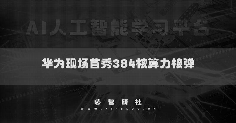 华为现场首秀384核算力核弹